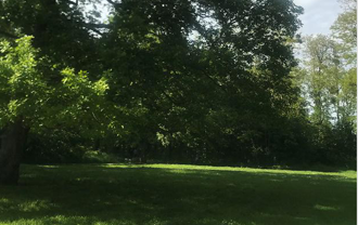 Forêt de Clamart pour le stage de yoga